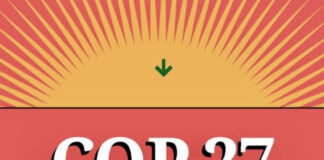 কপ২৭ সম্মেলনে কিছু আশার আলো দেখেছে সমুদ্র খাত