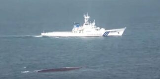 জাপানে দুই জাহাজের মধ্যে সংঘর্ষ, দুই ক্রু নিখোঁজ