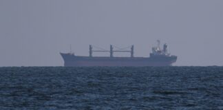 ইউক্রেনের মানবিক করিডোর দিয়ে প্রথমবারের মতো দেশটিতে যাচ্ছে দুটি জাহাজ