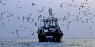 সাত দেশে আশঙ্কাজনক মাত্রায় অবৈধ মৎস্য আহরণ: এনওএএ