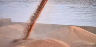 খাদ্যশস্য রপ্তানিতে ক্রোয়েশিয়ার বন্দর ব্যবহার করছে ইউক্রেন