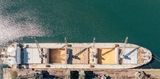 সেপ্টেম্বরে ইউক্রেনের শস্য রপ্তানি মাসওয়ারি ১০% কমেছে